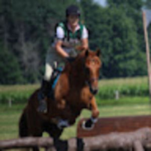 Meet your Posher, Ellen